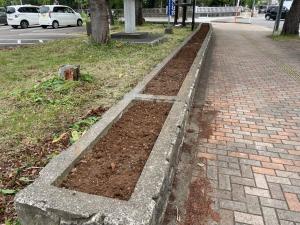 耕耘した土（写真）