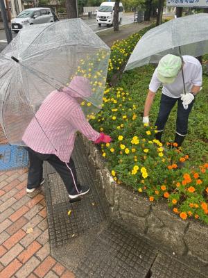 雨の中行う作業の様子（写真）
