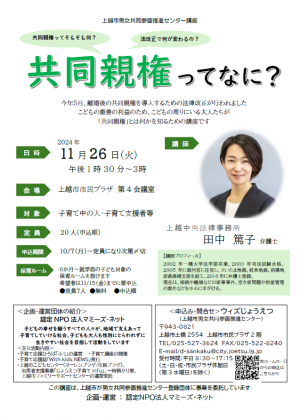 「共同親権ってなに」チラシ（画像）