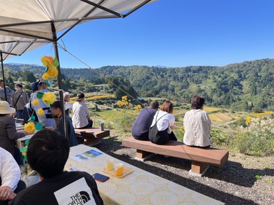 ヤナギバヒマワリの花と棚田の景色を楽しむ参加者（写真）
