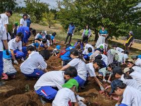 中学生と園児の芋堀の様子（写真）