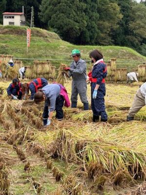 稲刈りの指導を受ける様子