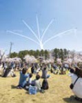 ブルーインパルス（写真）