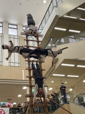 はしごのぼり「巴富士」（写真）