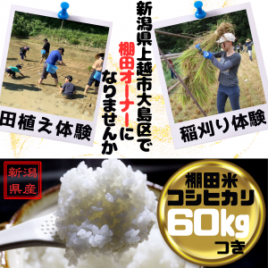 ふるさと納税サムネ