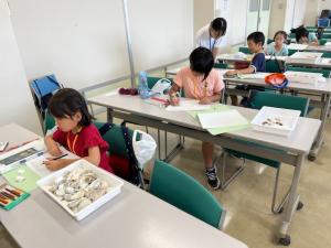 貝殻スケッチ（写真）
