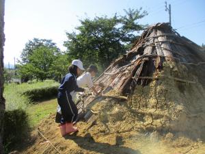 竪穴住居屋根ふき（写真）