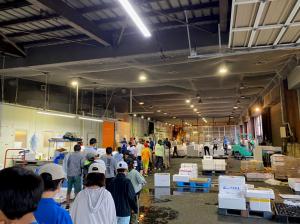 魚市場見学（写真）