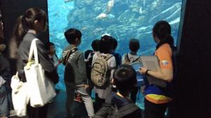 水族館探検（写真）