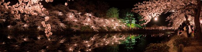 夜桜パノラマ写真