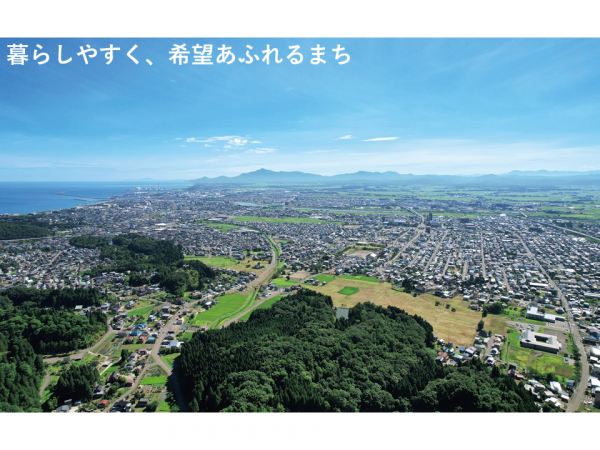 上越市空撮写真