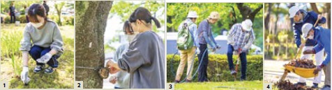 活動の様子（写真）