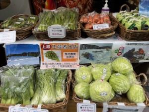 新鮮な野菜等の様子（写真）