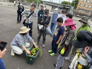 グリーンカーテン植え込みの様子（写真）