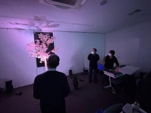 桜ロードライトアップ実験の様子(写真)