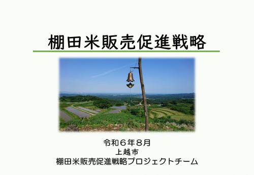 棚田米販売促進戦略表紙画像