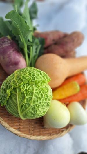 冬野菜の写真