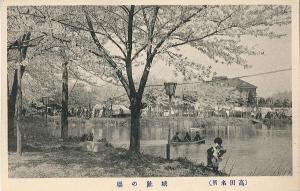 絵葉書「城址の桜」（画像）