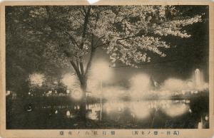 絵葉書「偕行社内ノ夜櫻」（画像）