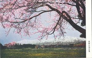 絵葉書「高田の雪月花」（画像）