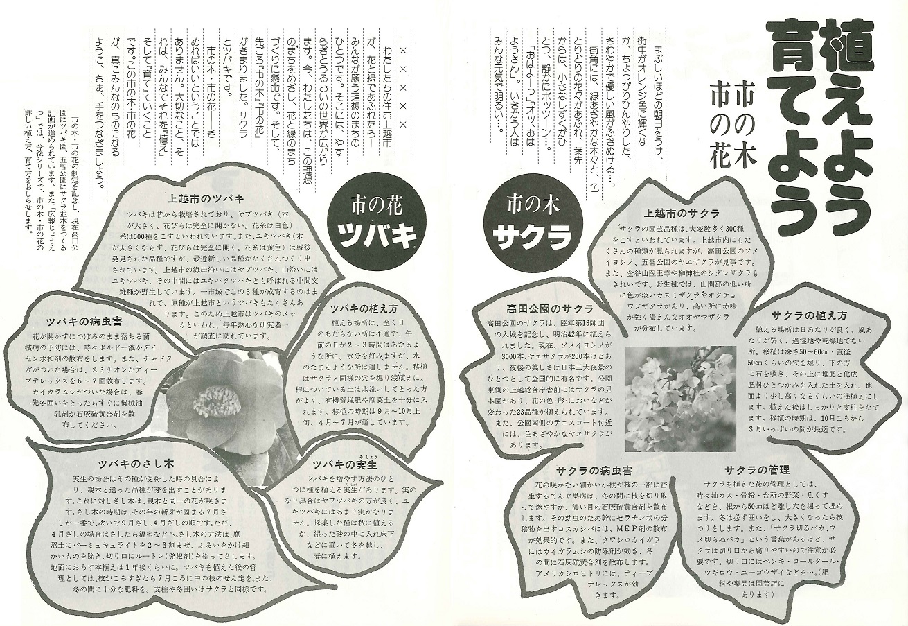 広報じょうえつ185記事（画像）