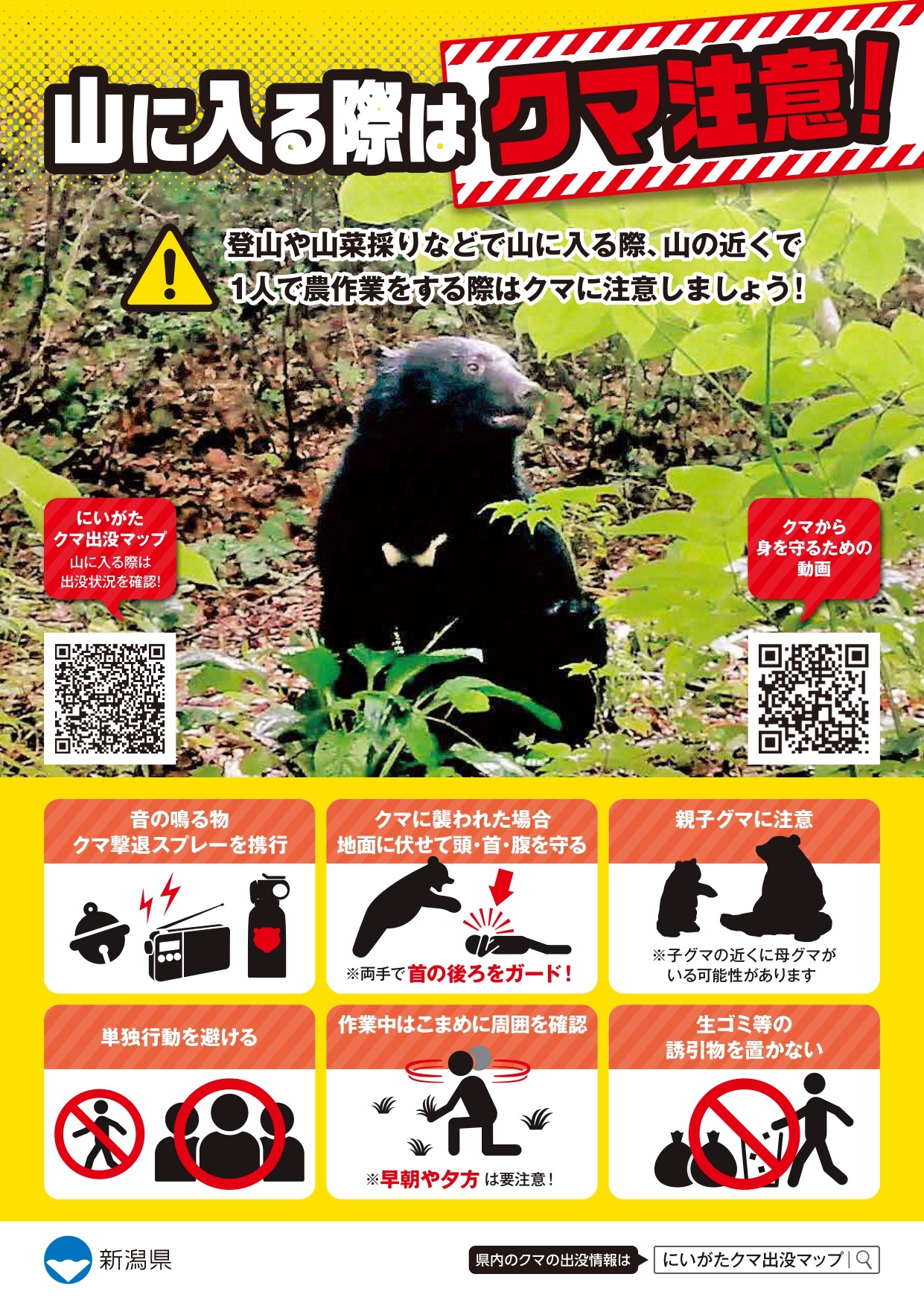 クマによる人身被害防止啓発チラシ（画像）