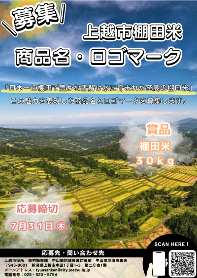 募集チラシ