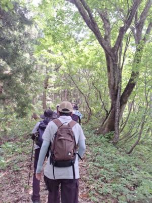 糀山コースを歩く（写真）