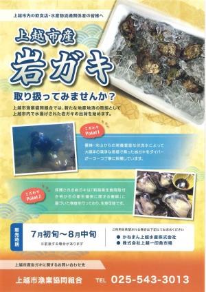 岩ガキ取扱いチラシ