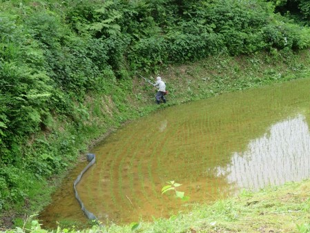 棚田の作業風景（写真）