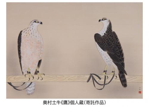 奥村土牛「鷹」（作品画像）