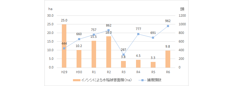イノシシによる水稲被害面積と捕獲頭数の推移（グラフ）