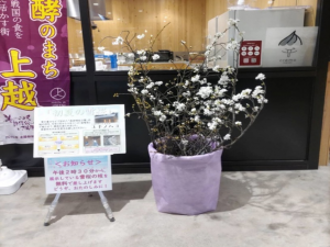 桜の枝配布の様子（写真）