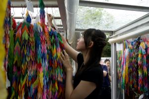 献鶴している様子(写真)