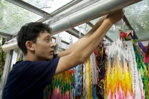 献鶴している様子(写真)