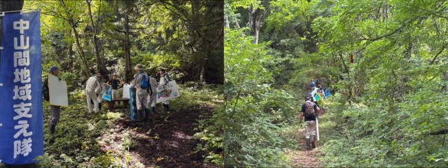 ブナの森の様子(写真)