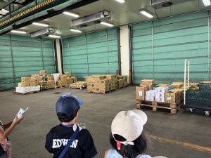 青果市場の見学（写真）