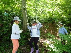 森遊び（写真）