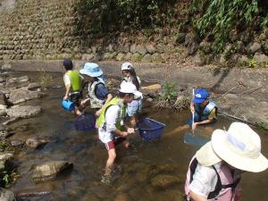 川遊び（写真）