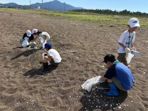 貝殻収集（写真）