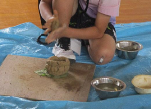 土器づくり（写真）