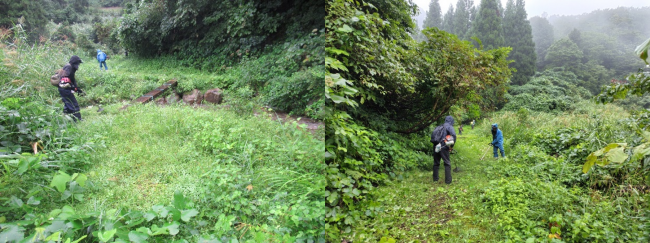 梨平峠道での草刈りの様子(写真)