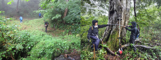 整備の様子(写真)