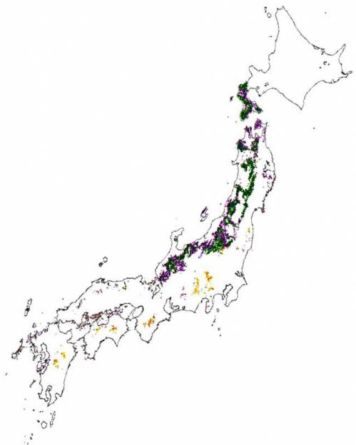 日本列島のブナ林の分布図