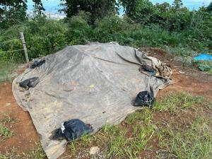 土の保管場所の様子(画像)