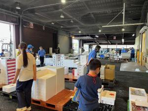 魚市場見学（写真）