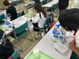 煮干しの顕微鏡観察（写真）