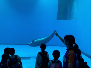 水族館探検（写真）