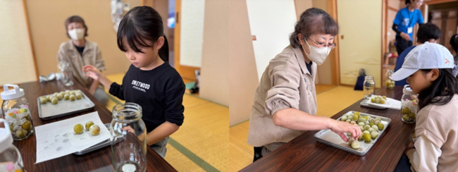 梅シロップ作りの様子(写真)