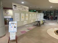 パネル展の様子（画像）